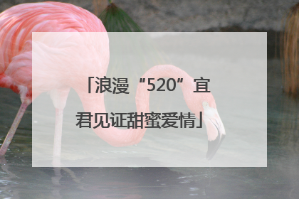 浪漫“520”宜君见证甜蜜爱情