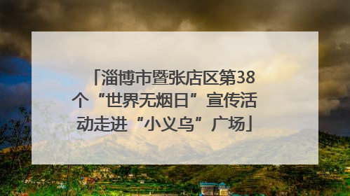 淄博市暨张店区第38个“世界无烟日”宣传活动走进“小义乌”广场