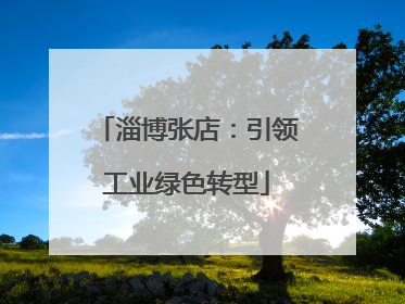 淄博张店：引领工业绿色转型