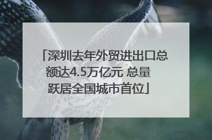深圳去年外贸进出口总额达4.5万亿元 总量跃居全国城市首位