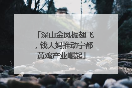 深山金凤振翅飞，钱大妈推动宁都黄鸡产业崛起