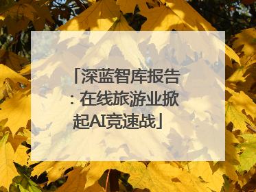 深蓝智库报告：在线旅游业掀起AI竞速战