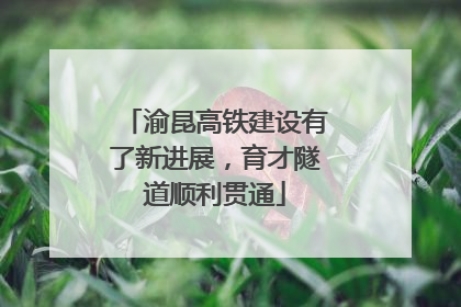 渝昆高铁建设有了新进展，育才隧道顺利贯通