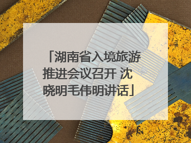 湖南省入境旅游推进会议召开 沈晓明毛伟明讲话