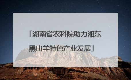 湖南省农科院助力湘东黑山羊特色产业发展
