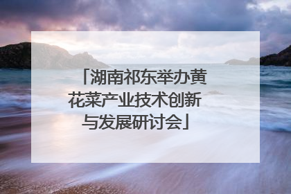 湖南祁东举办黄花菜产业技术创新与发展研讨会