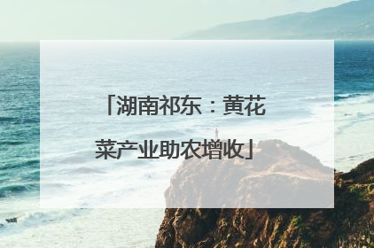 湖南祁东：黄花菜产业助农增收
