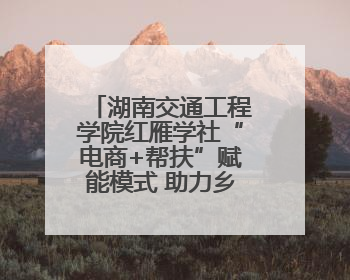 湖南交通工程学院红雁学社“电商+帮扶”赋能模式 助力乡村振兴获帮扶乡镇好评