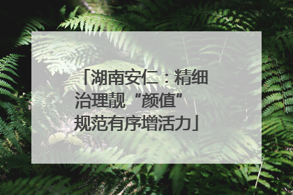 湖南安仁：精细治理靓“颜值” 规范有序增活力