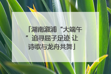 湖南溆浦“大端午”追寻屈子足迹 让诗歌与龙舟共舞