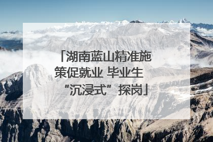 湖南蓝山精准施策促就业 毕业生“沉浸式”探岗