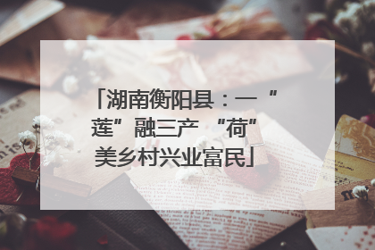 湖南衡阳县：一“莲”融三产 “荷”美乡村兴业富民