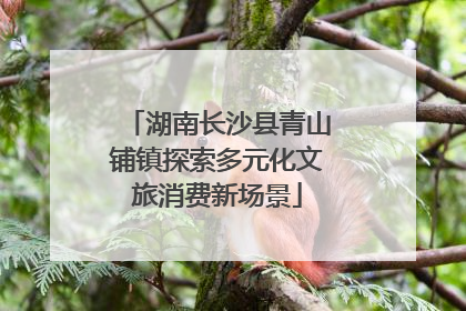 湖南长沙县青山铺镇探索多元化文旅消费新场景