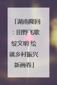 湖南隆回：田野飞歌绽文明 绘就乡村振兴新画卷
