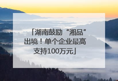 湖南鼓励“湘品”出境！单个企业最高支持100万元
