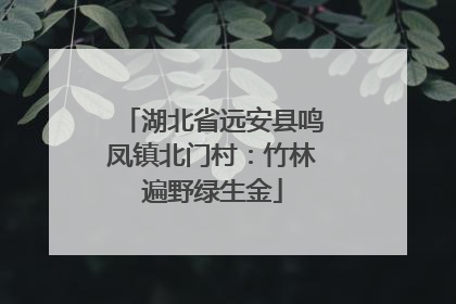湖北省远安县鸣凤镇北门村：竹林遍野绿生金