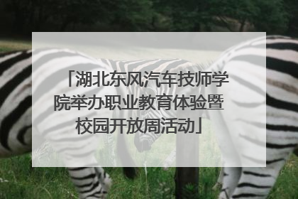 湖北东风汽车技师学院举办职业教育体验暨校园开放周活动