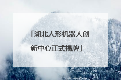 湖北人形机器人创新中心正式揭牌