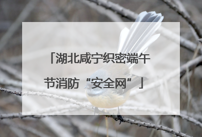 湖北咸宁织密端午节消防“安全网”