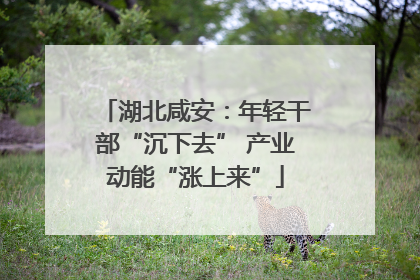 湖北咸安：年轻干部“沉下去” 产业动能“涨上来”