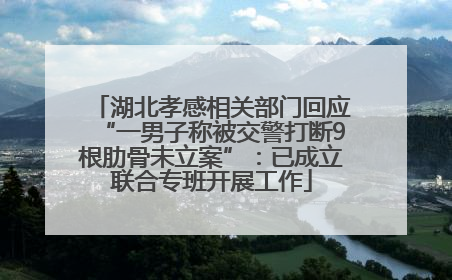 湖北孝感相关部门回应“一男子称被交警打断9根肋骨未立案”：已成立联合专班开展工作