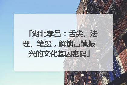 湖北孝昌：舌尖、法理、笔墨，解锁古镇振兴的文化基因密码