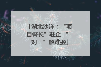 湖北沙洋：“项目警长”驻企 “一对一”解难题