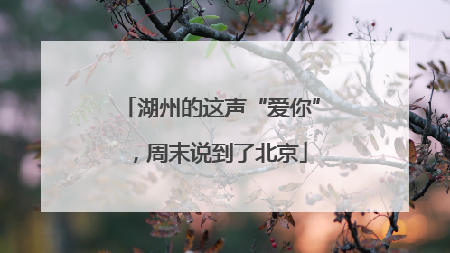 湖州的这声“爱你”，周末说到了北京