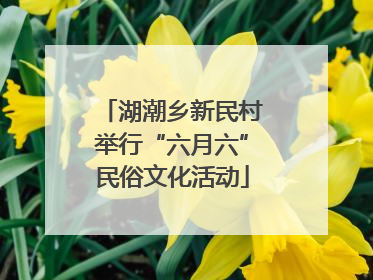 湖潮乡新民村举行“六月六”民俗文化活动