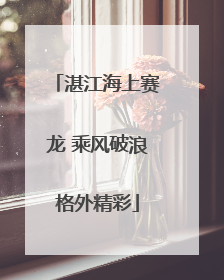 湛江海上赛龙 乘风破浪格外精彩