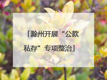 滁州开展“公款私存”专项整治