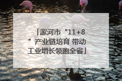 漯河市“11+8”产业链培育 带动工业增长领跑全省