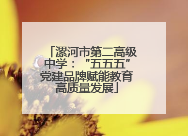 漯河市第二高级中学：“五五五”党建品牌赋能教育高质量发展