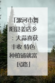 漯河市舞阳县姜店乡：大蒜喜获丰收 特色种植铺就富民路