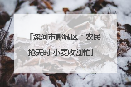 漯河市郾城区：农民抢天时 小麦收割忙