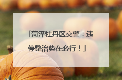 菏泽牡丹区交警：违停整治势在必行！