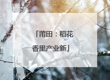 莆田：稻花香里产业新