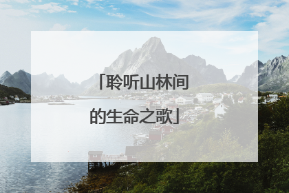 聆听山林间的生命之歌