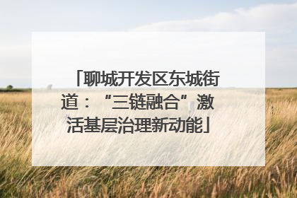 聊城开发区东城街道：“三链融合”激活基层治理新动能