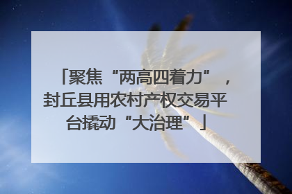 聚焦“两高四着力”，封丘县用农村产权交易平台撬动“大治理”