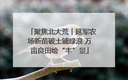 聚焦北大荒丨延军农场新苗破土铺绿浪 万亩良田绘“丰”景
