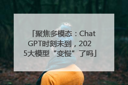 聚焦多模态：ChatGPT时刻未到，2025大模型“变慢”了吗