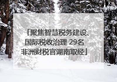 聚焦智慧税务建设、国际税收治理 29名非洲财税官湖南取经