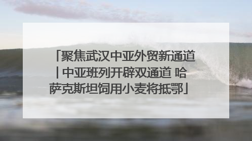 聚焦武汉中亚外贸新通道│中亚班列开辟双通道 哈萨克斯坦饲用小麦将抵鄂