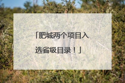 肥城两个项目入选省级目录！
