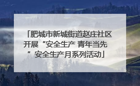 肥城市新城街道赵庄社区开展“安全生产 青年当先”安全生产月系列活动