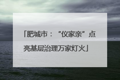 肥城市：“仪家亲”点亮基层治理万家灯火