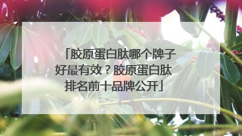 胶原蛋白肽哪个牌子好最有效？胶原蛋白肽排名前十品牌公开