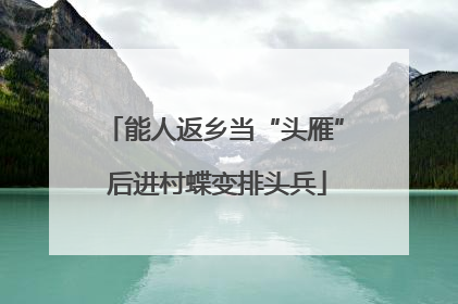 能人返乡当“头雁” 后进村蝶变排头兵