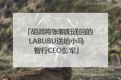 胡润将张朝阳送回的LABUBU送给小马智行CEO彭军